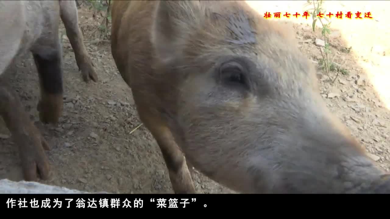 康巴衛(wèi)視新聞（19.08.21）