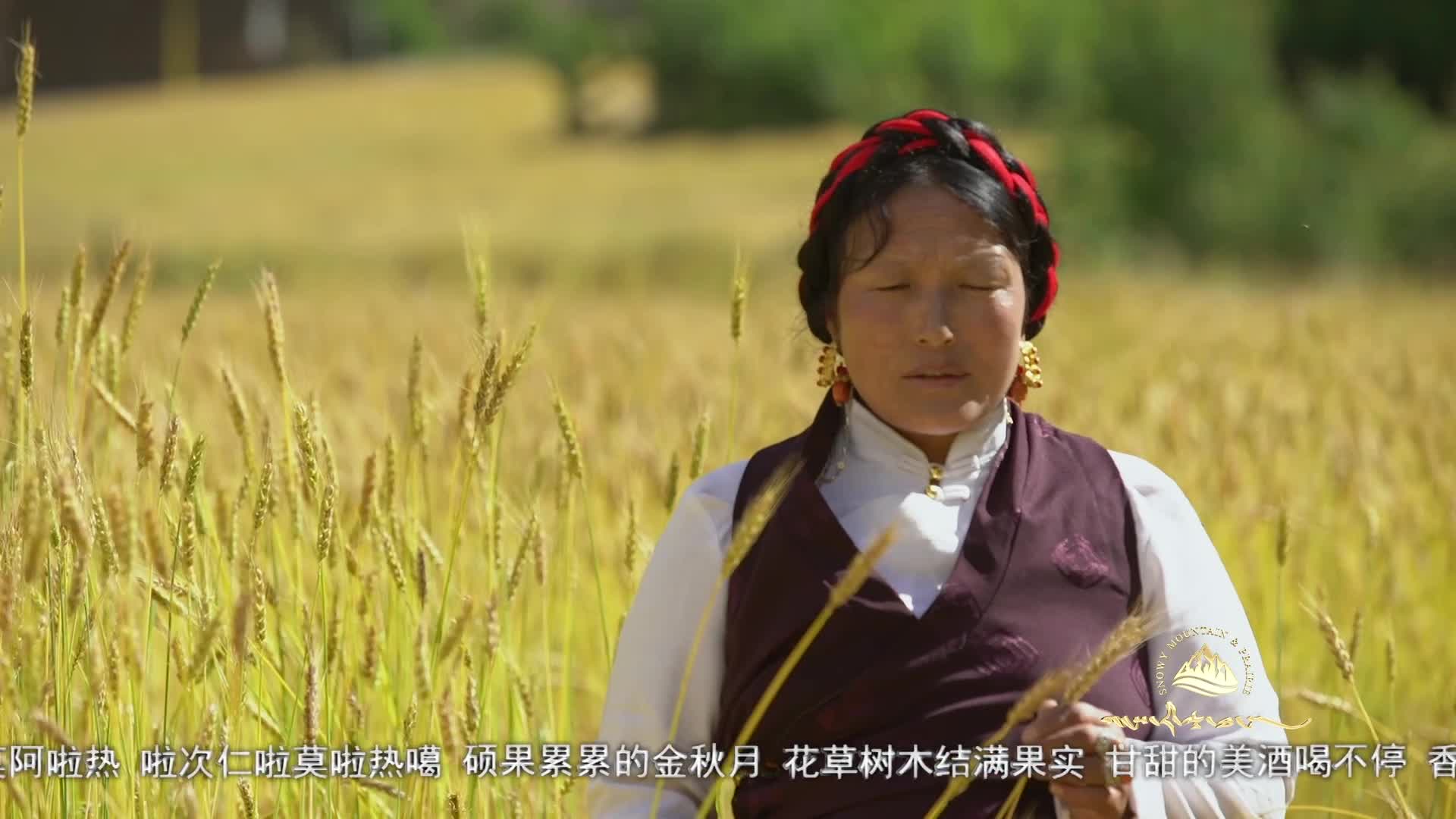 《格桑啦》：歌声里的故乡