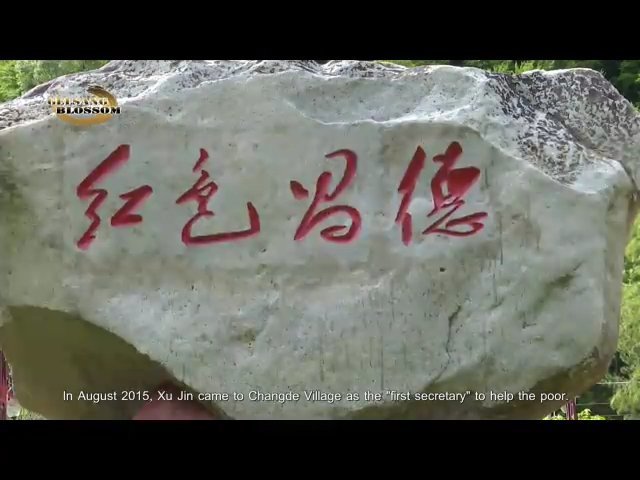 Xu Jin's Tourism Dream