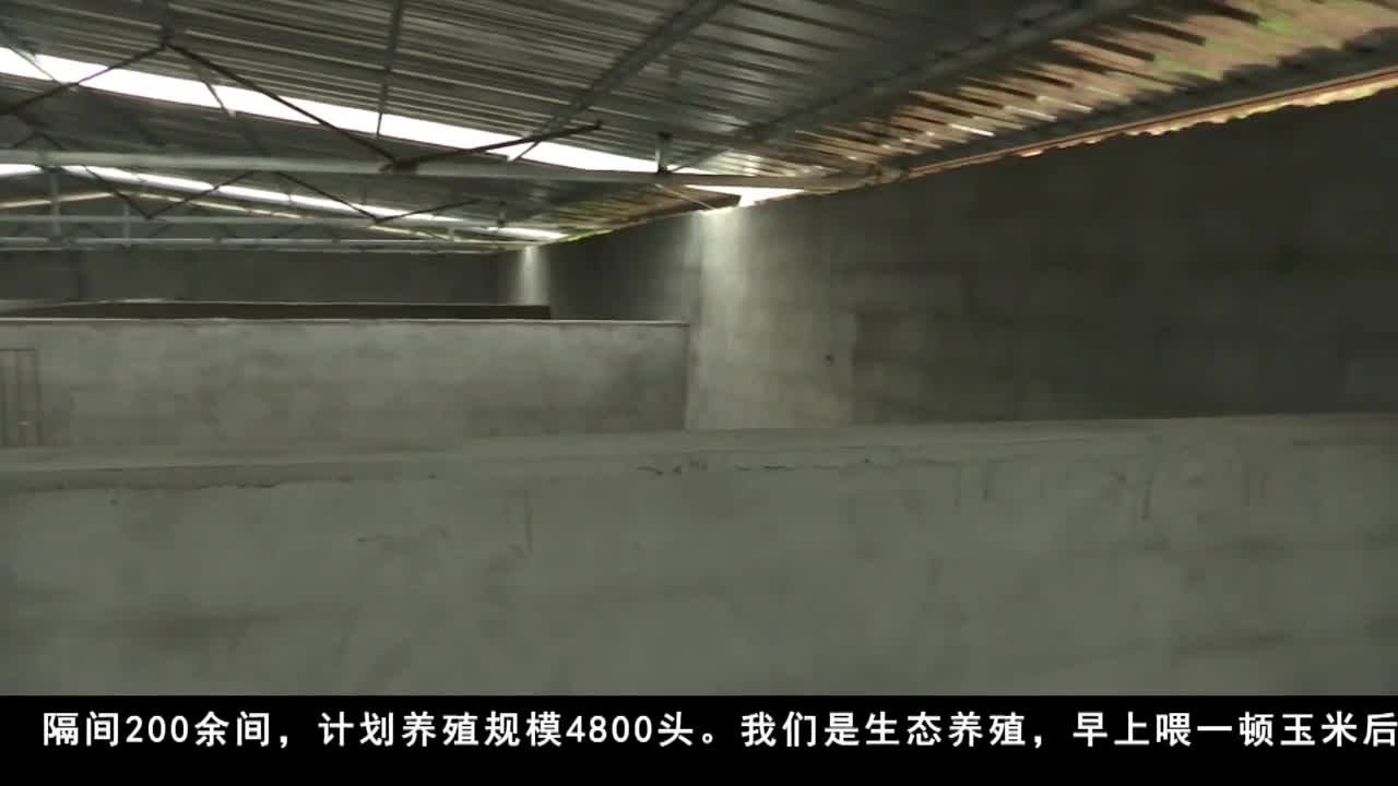 康巴衛(wèi)視新聞（19.08.04）