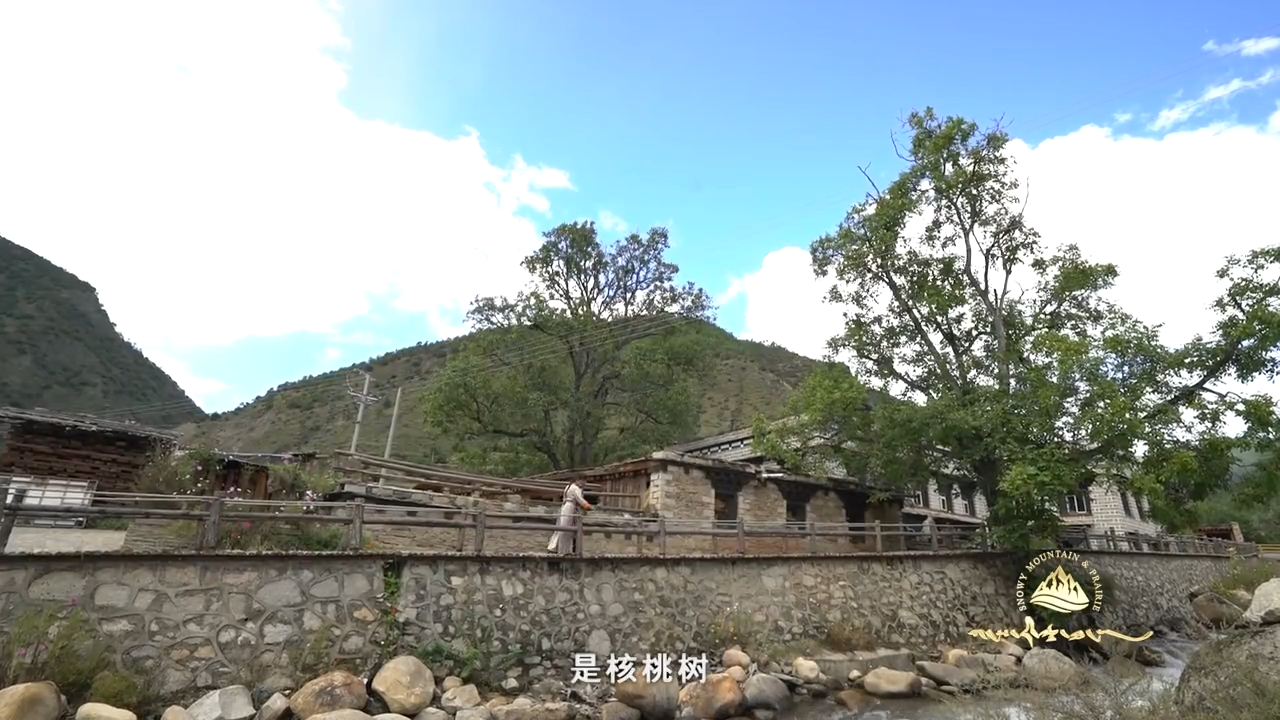 《格桑啦》：稻城·然央村