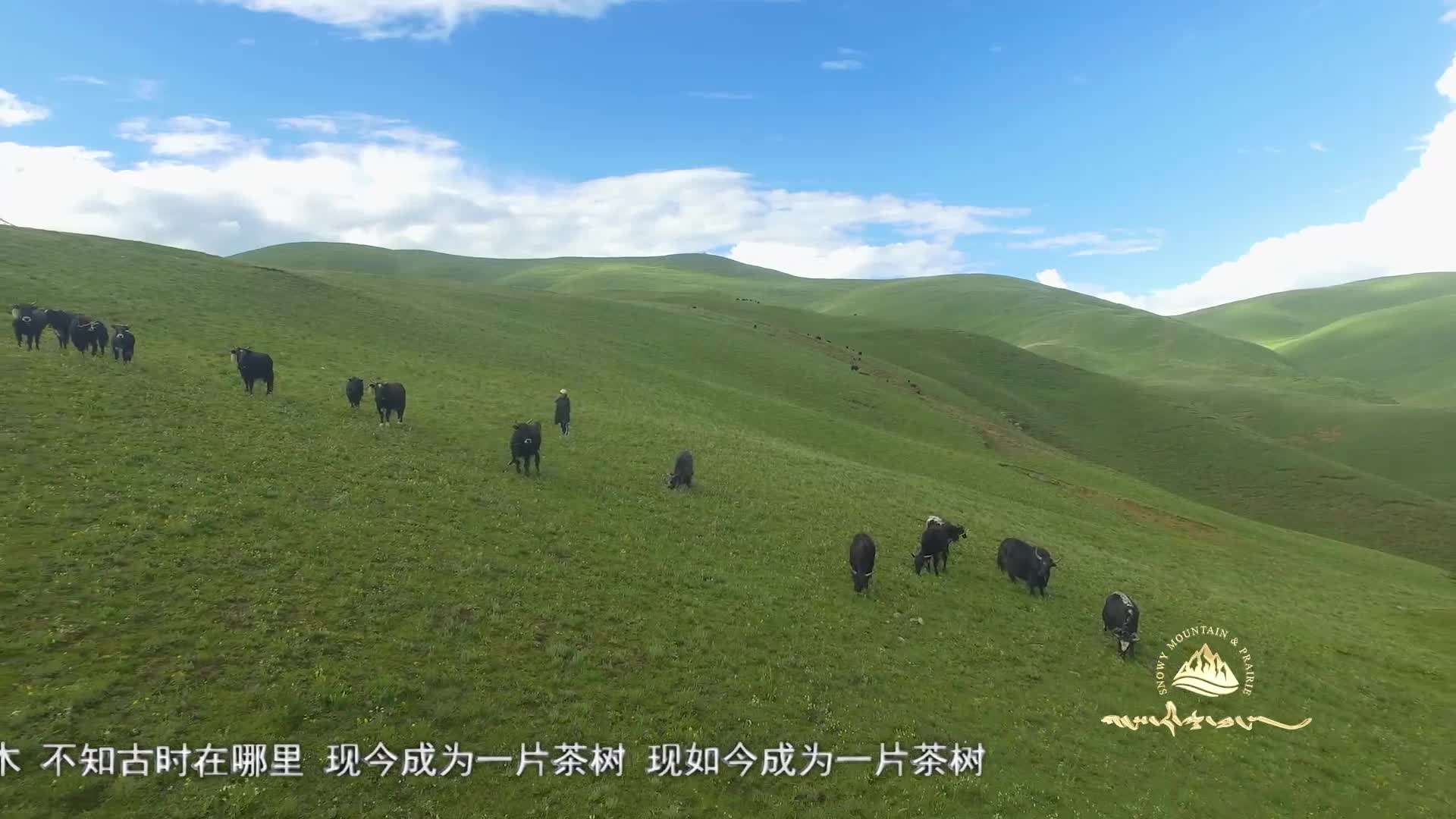 《格桑啦》：歌声里的故乡