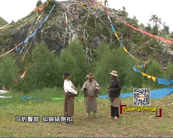 格薩爾走馬之鄉（15.10.02）
