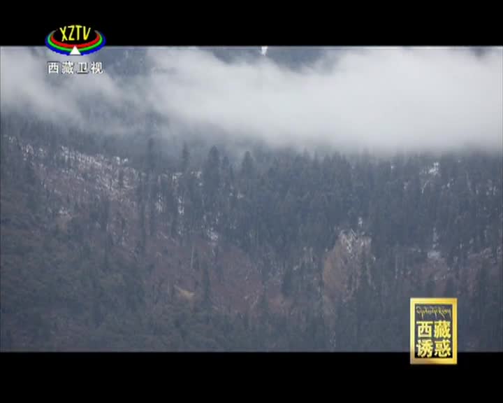 《西藏誘惑》尼洋河之《綠水青山》