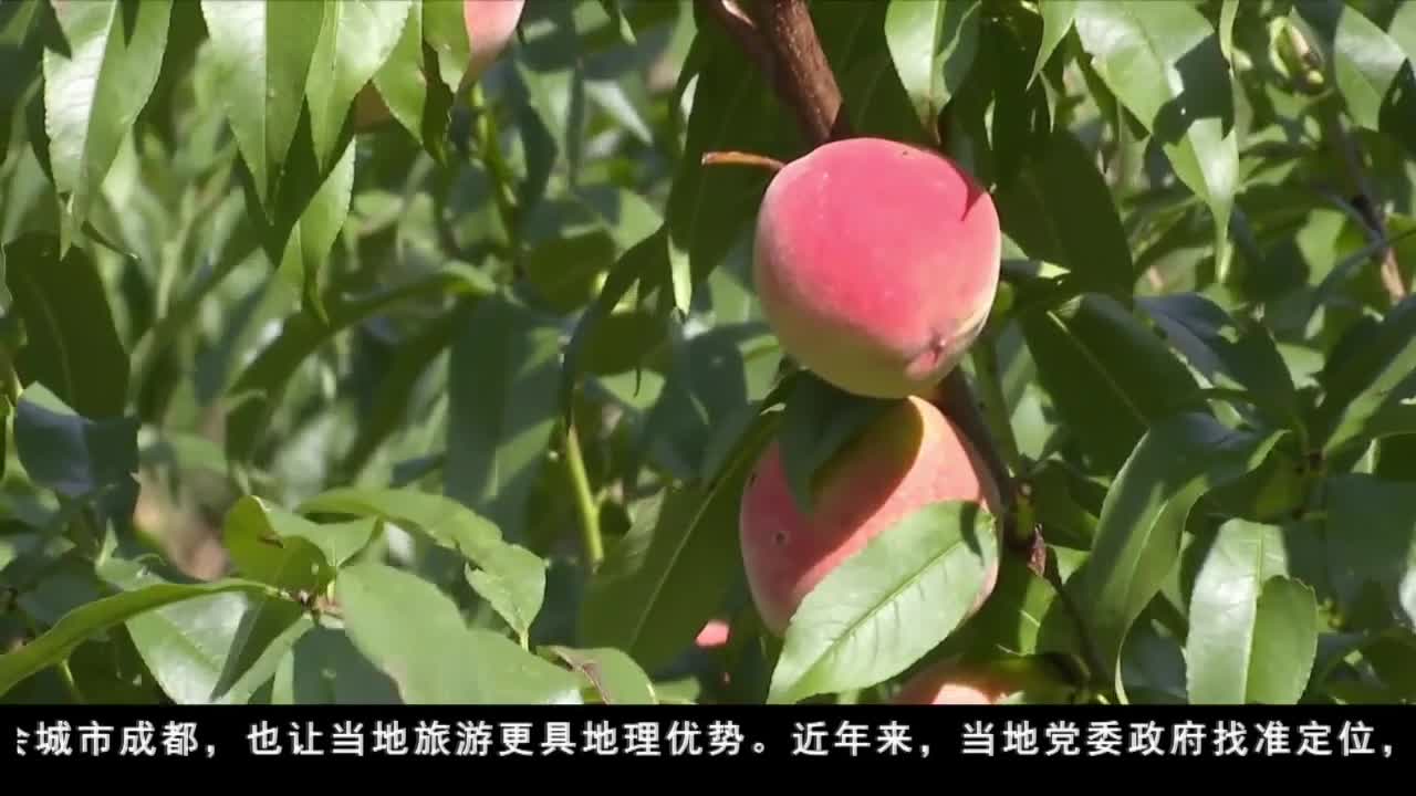 杵坭村：打造瓜果飄香的旅游新村