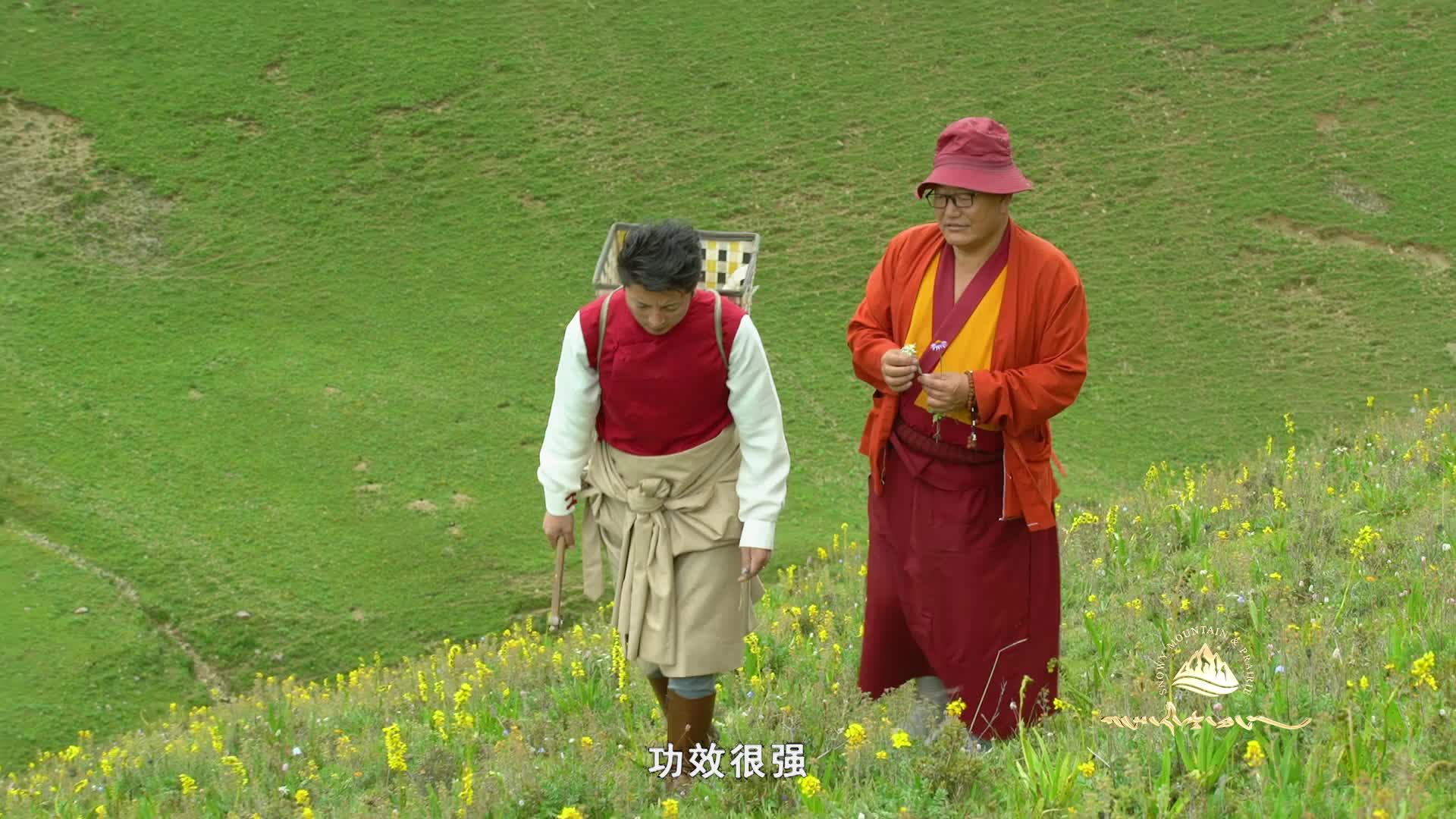 理塘 第三期