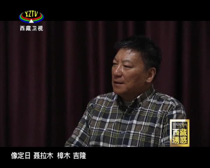 《西藏誘惑》千年的腳步——綠洲