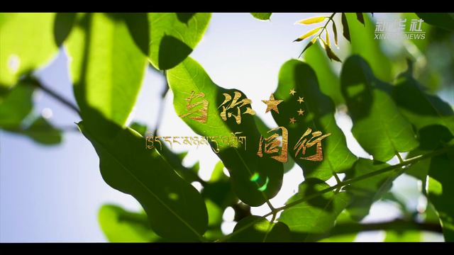 微視中國|與你同行