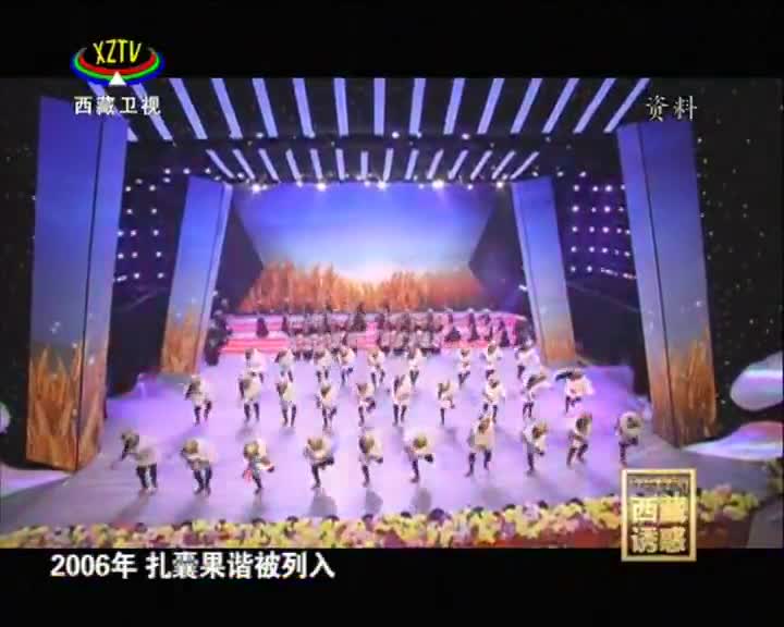 《西藏誘惑》果諧在山南