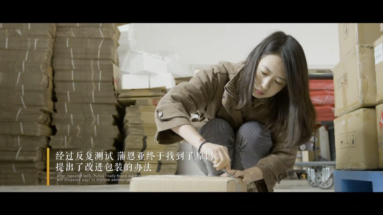 The Snowland Dream Chaser——  Pu Enya