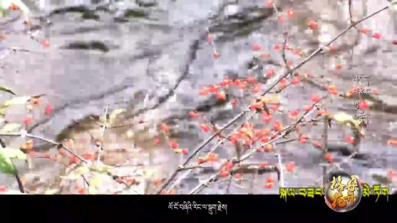 奮斗者之歌 6 （19.11.23）