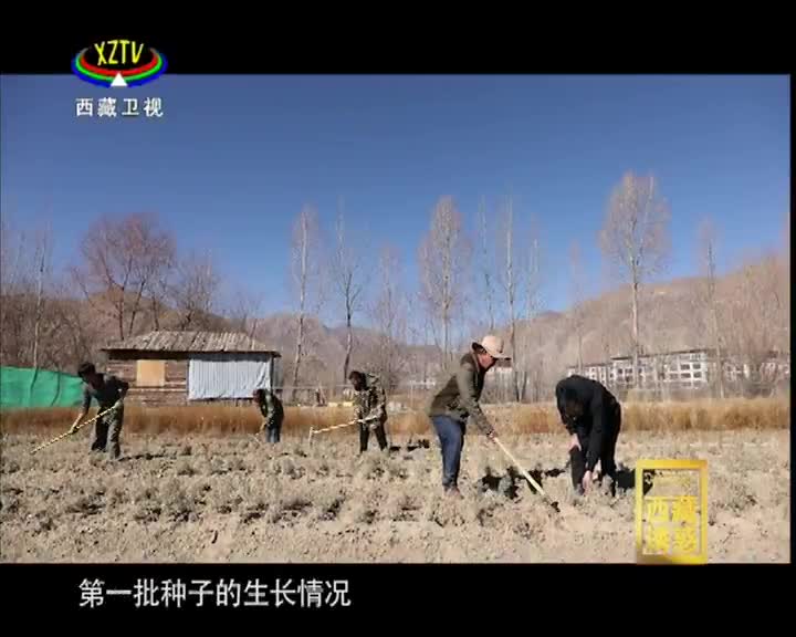 《西藏誘惑》我與西藏的不解之緣