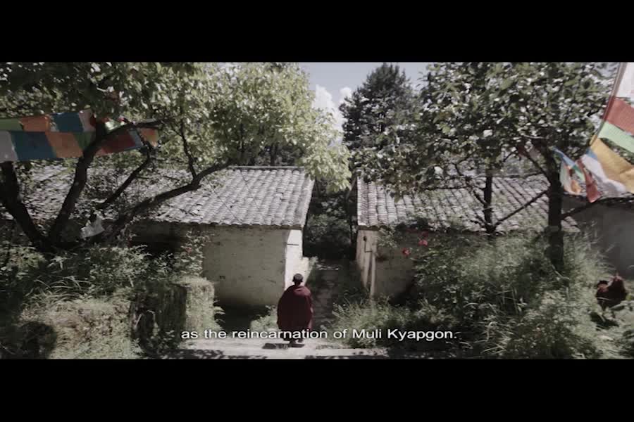 The 10th Kyabgon Rinpoche, Kyabgon Pedma Renchen