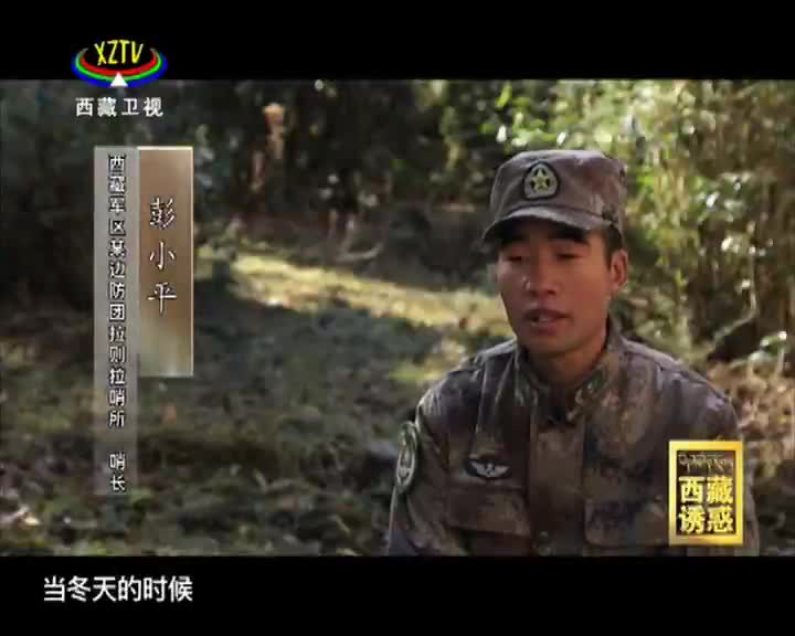 《西藏誘惑》拉則拉的春天