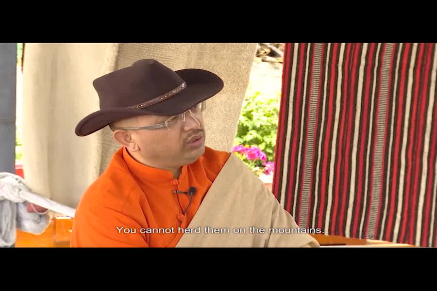 Weaving Craft Inheritor, Tsering Chutso