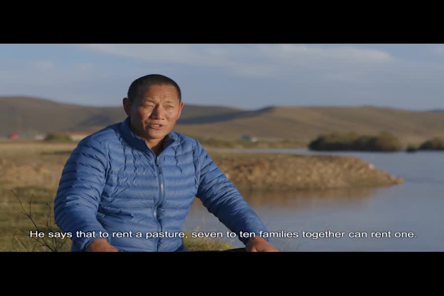 Tsering Dorjee, the Keeper of Hongyuan Pasture