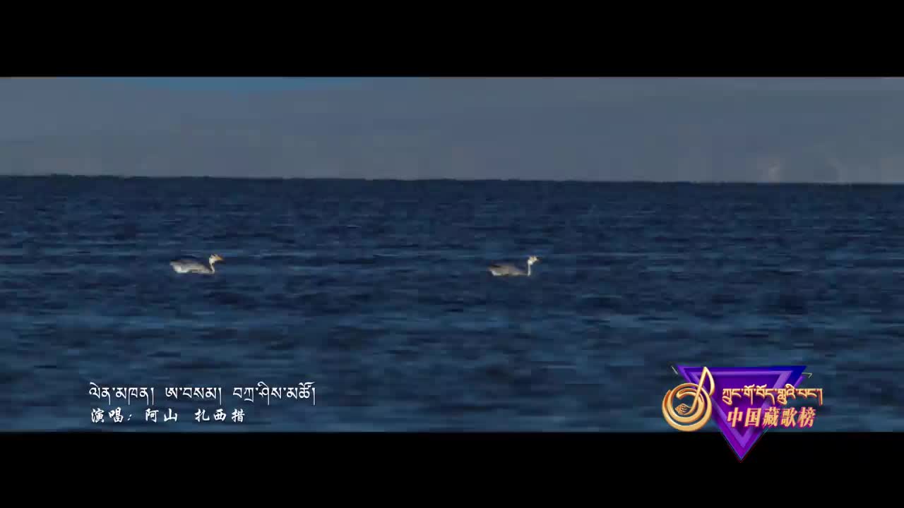 中國藏歌榜漢語版（20.01.31）
