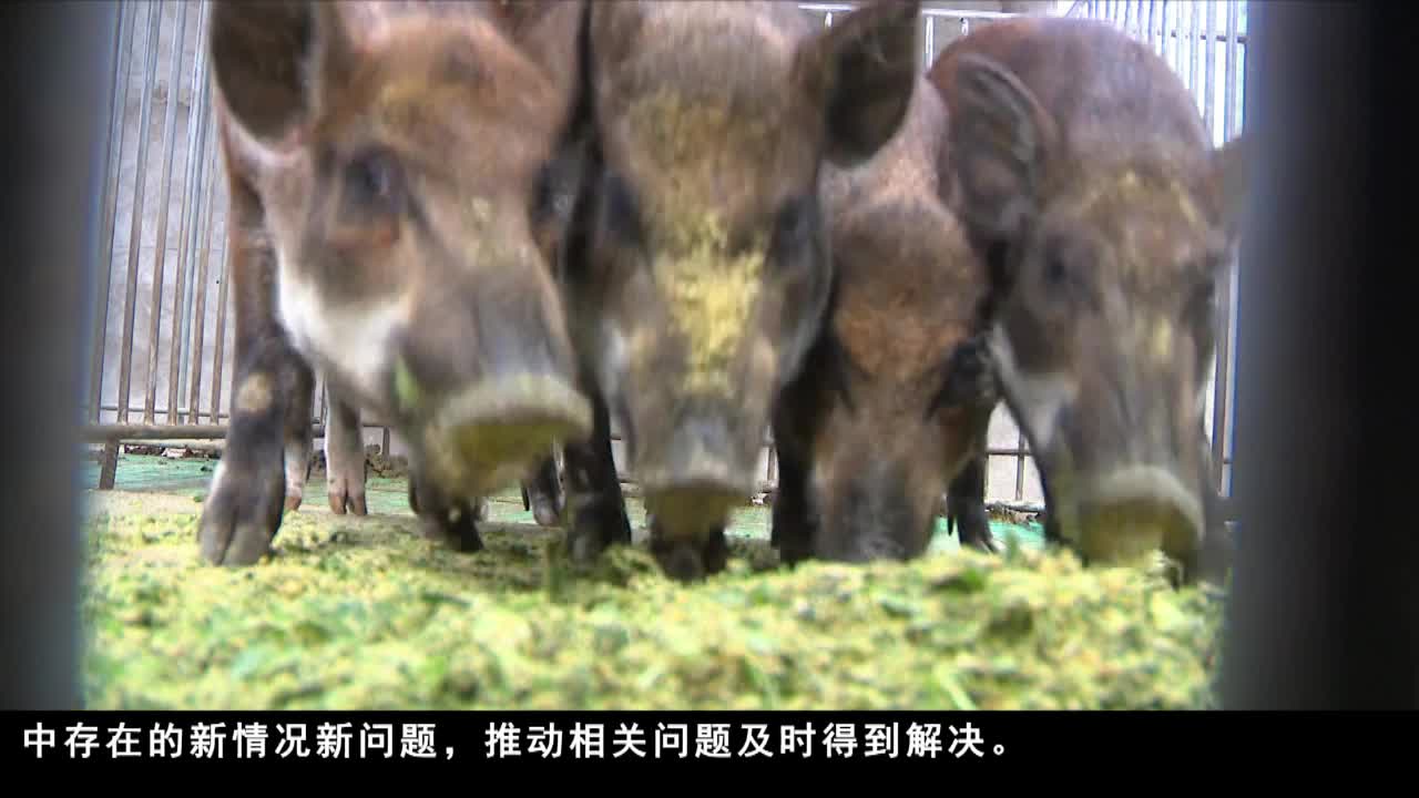 康巴衛視新聞（19.12.06）