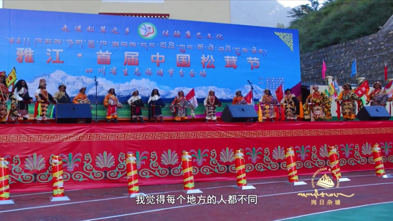 逐梦前行专辑之四《植草牧人》