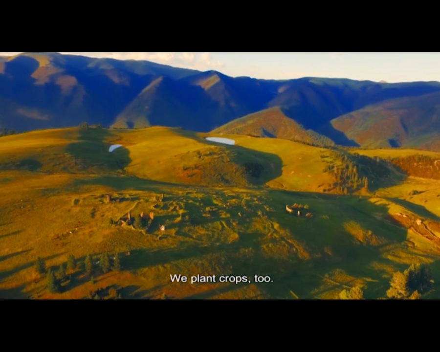 Special Episode of Proceeding with Dreams 4