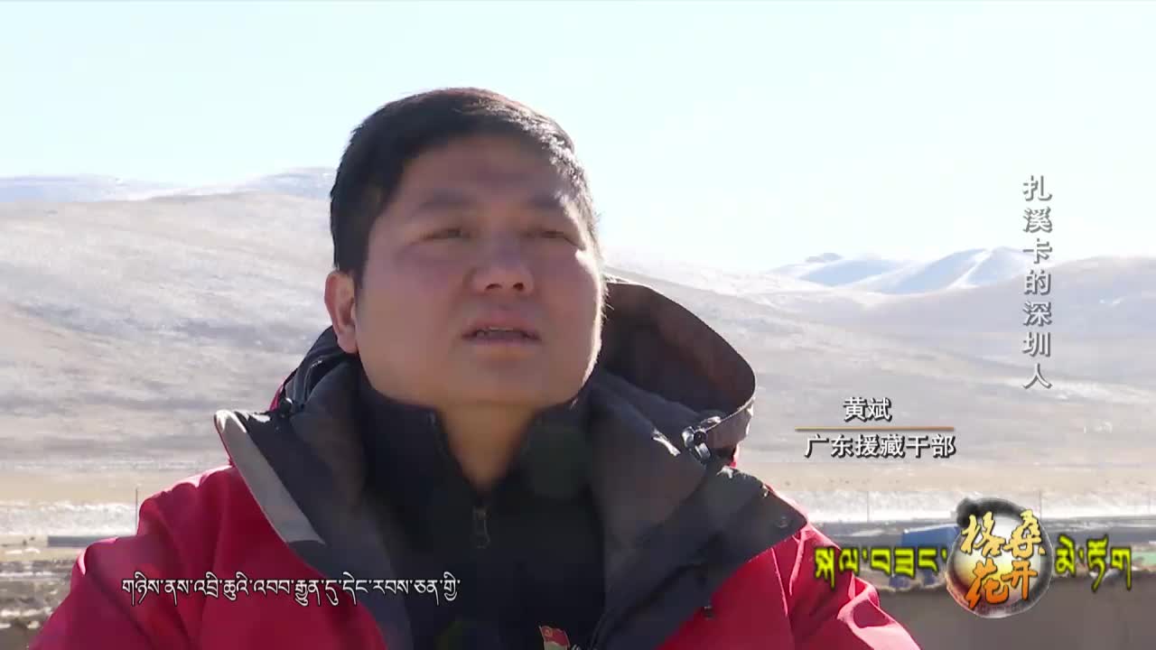 扎溪卡的深圳人（19.12.21）
