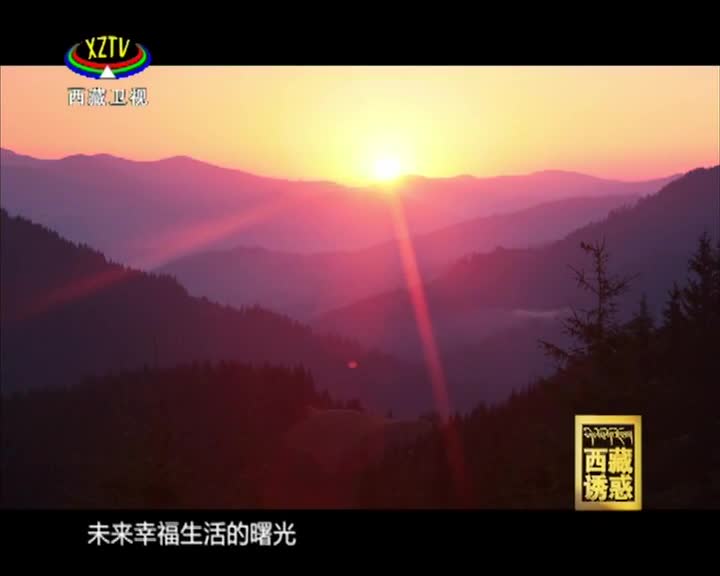 《西藏誘惑》16個證書講出自強故事