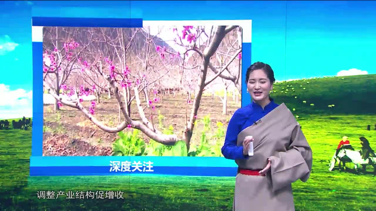 雪域高原（20.04.26）