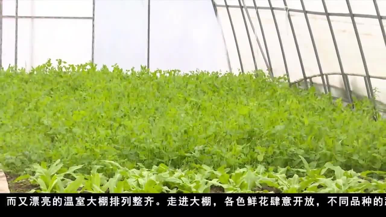 康巴卫视新闻（20.06.22）