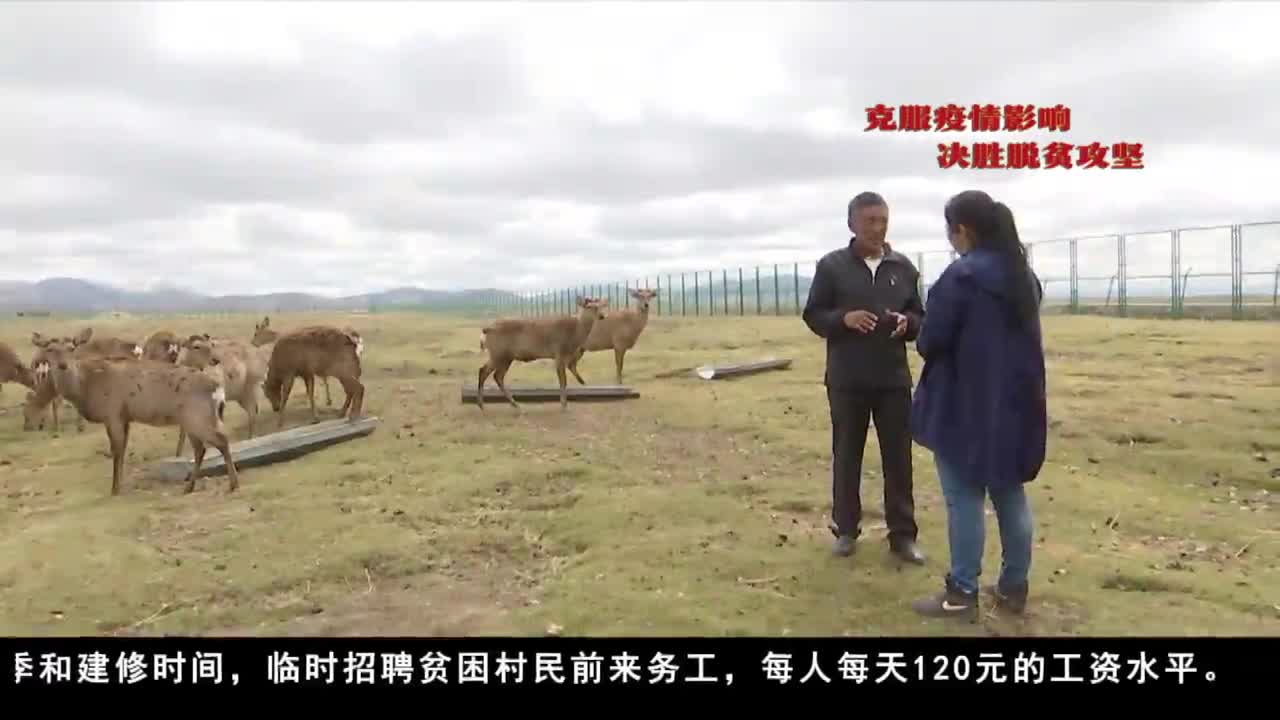 康巴衛視新聞（20.06.01）