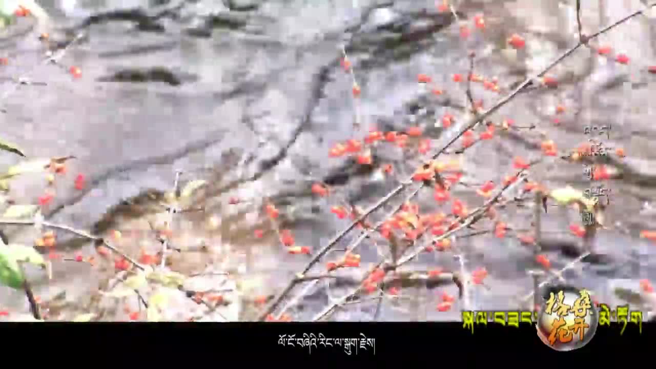 奮斗者之歌 四（20.06.06）