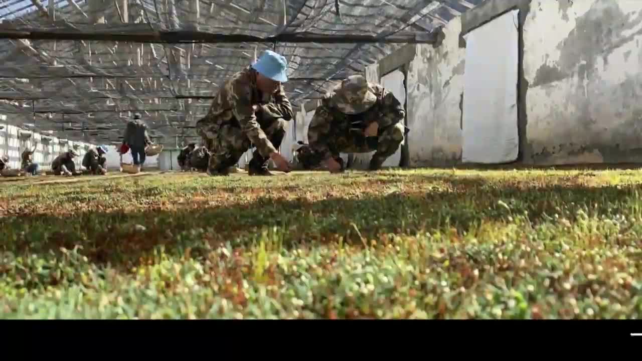 康巴卫视新闻（20.06.15）