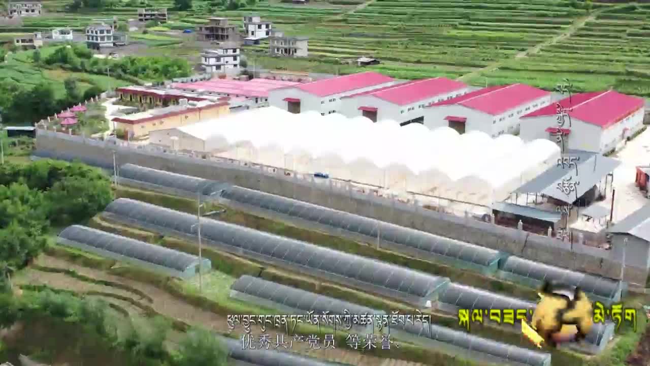 幸福是奮斗出來的（20.07.18）