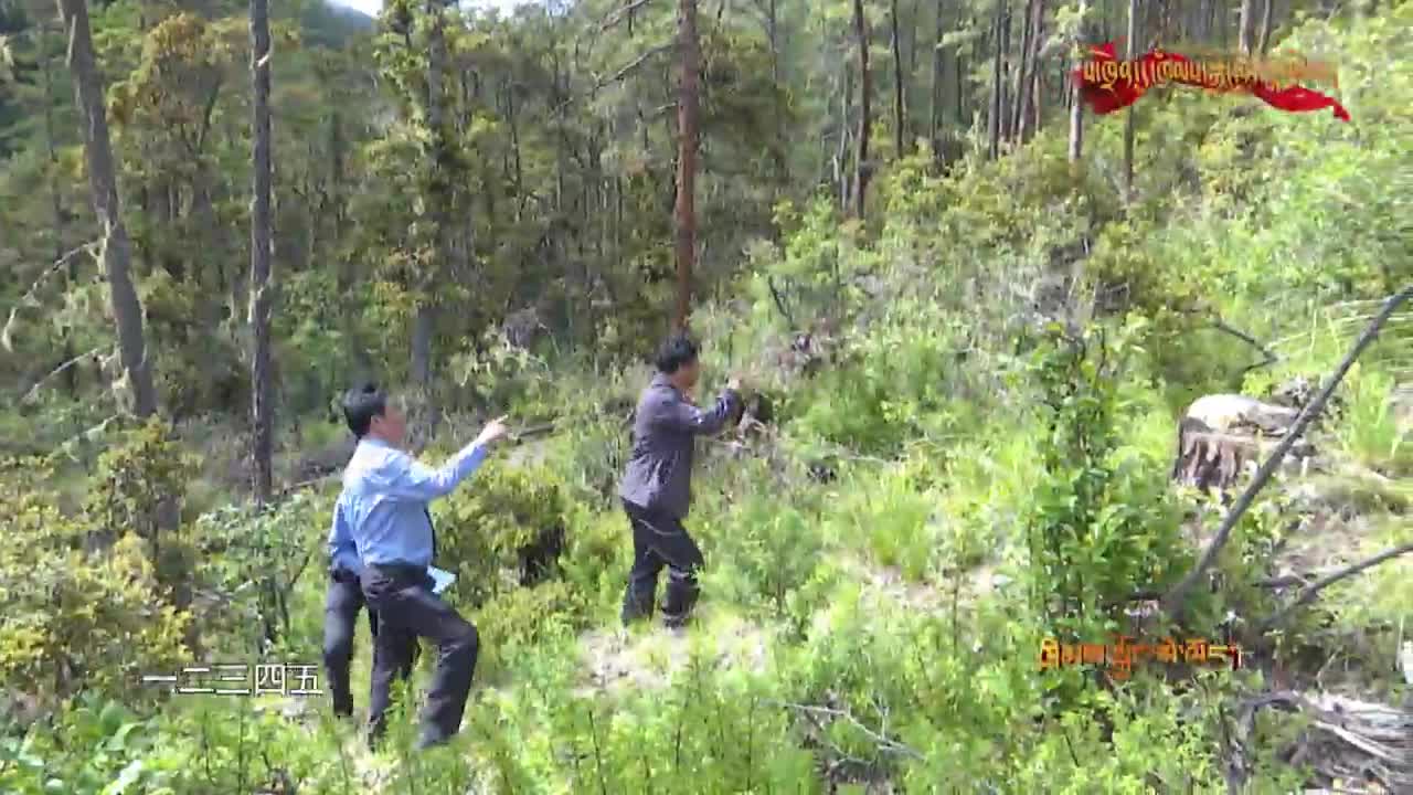 以法治力量守護(hù)好“青山綠水”（20.08.13）