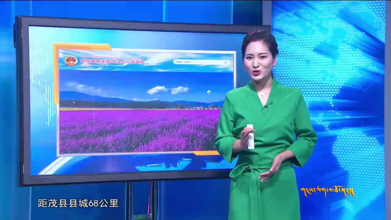 雪域高原（20.08.02）