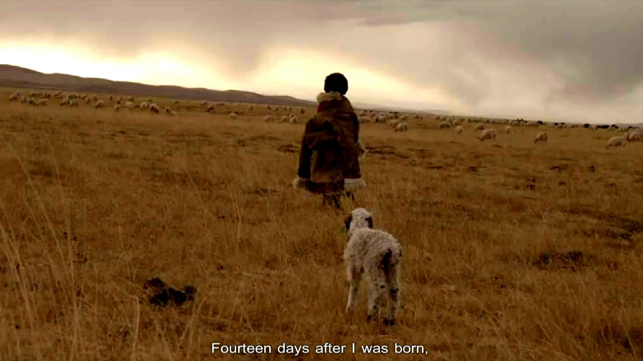 Mother’s Sheep Baize