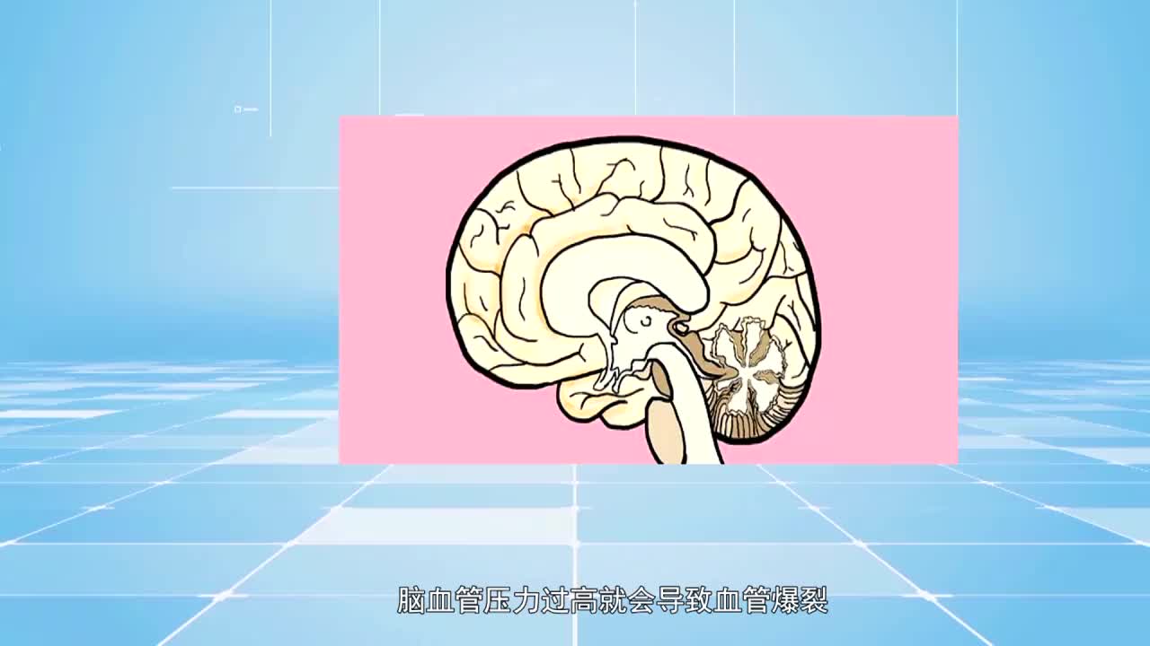 云丹科普苑（20.10.28）