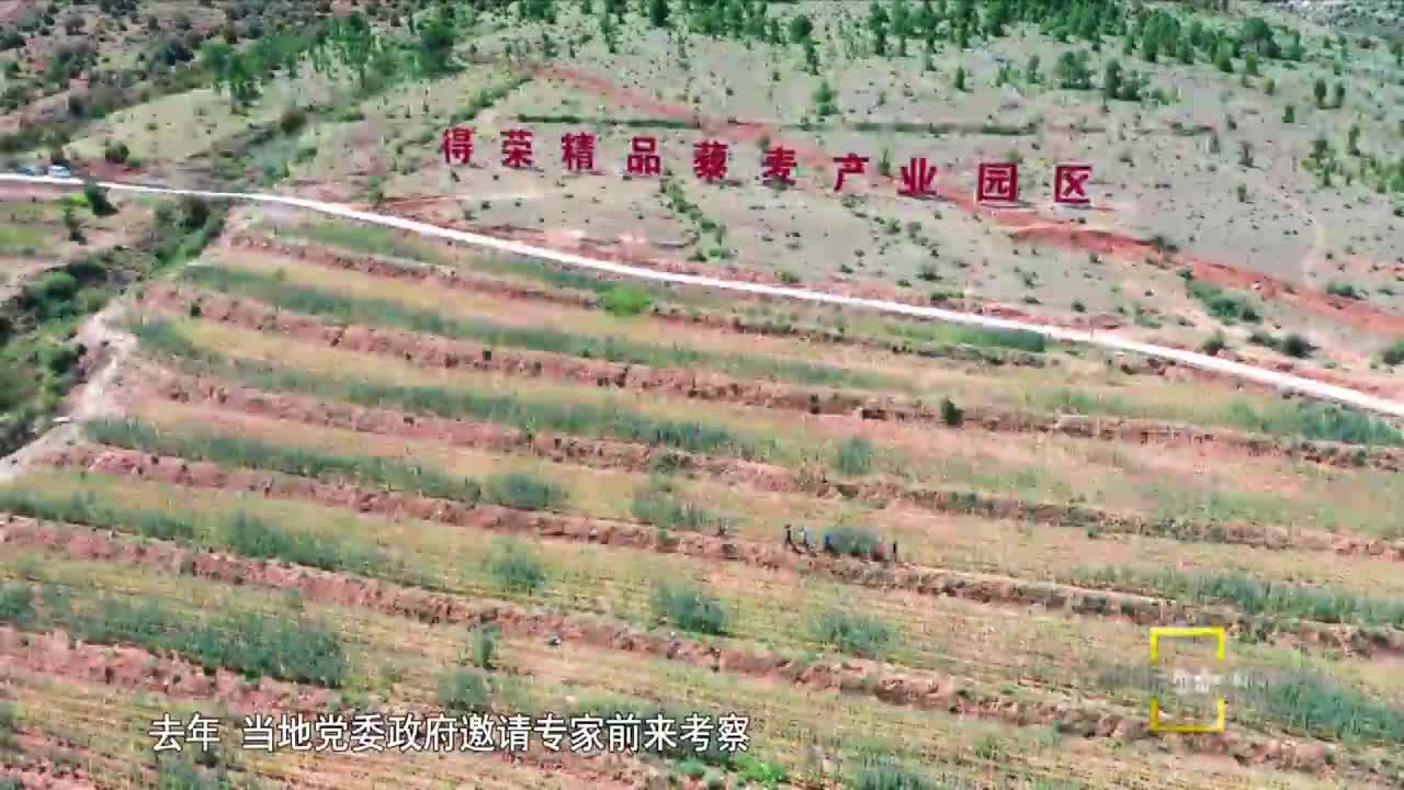 奮進之歌 下（20.10.26）