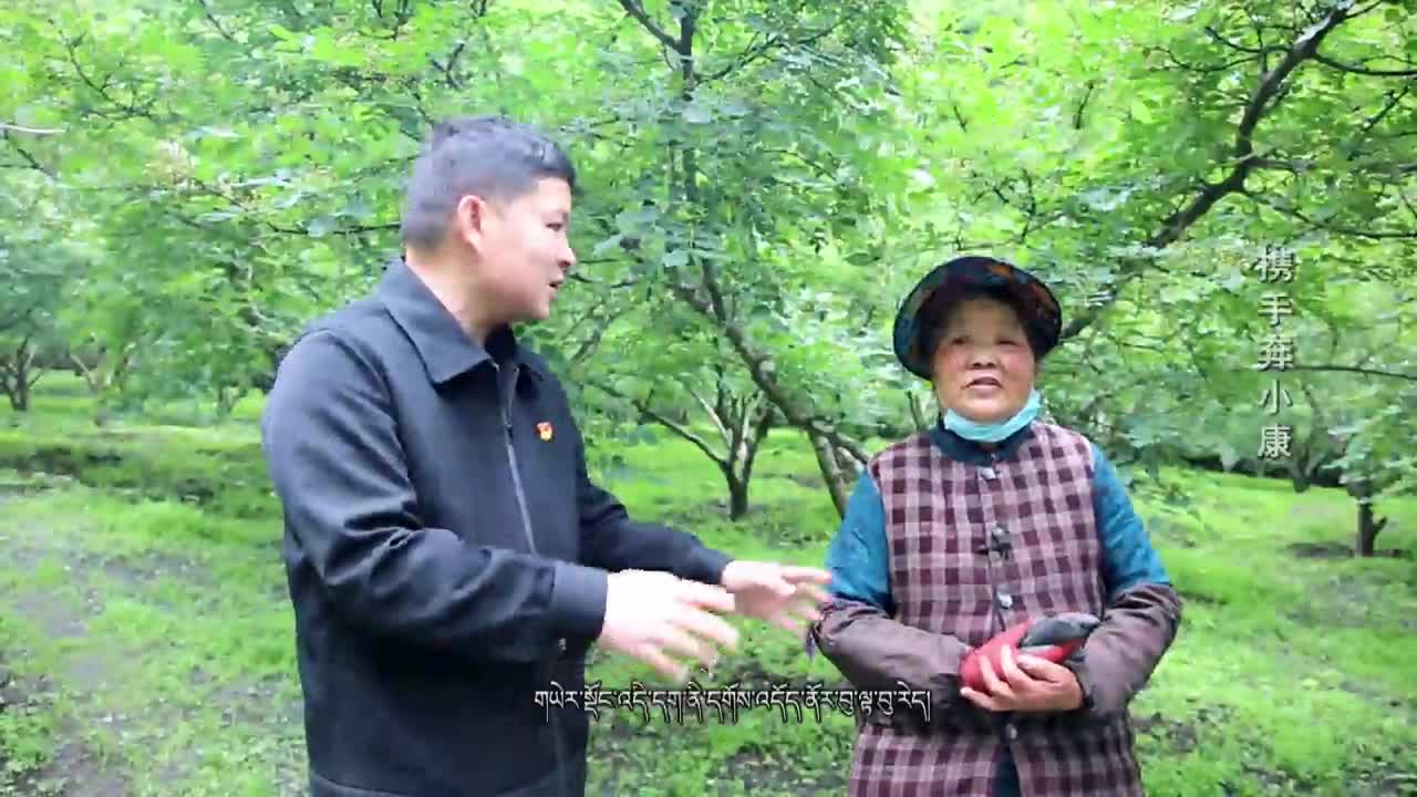 攜手奔小康 一（20.10.24）