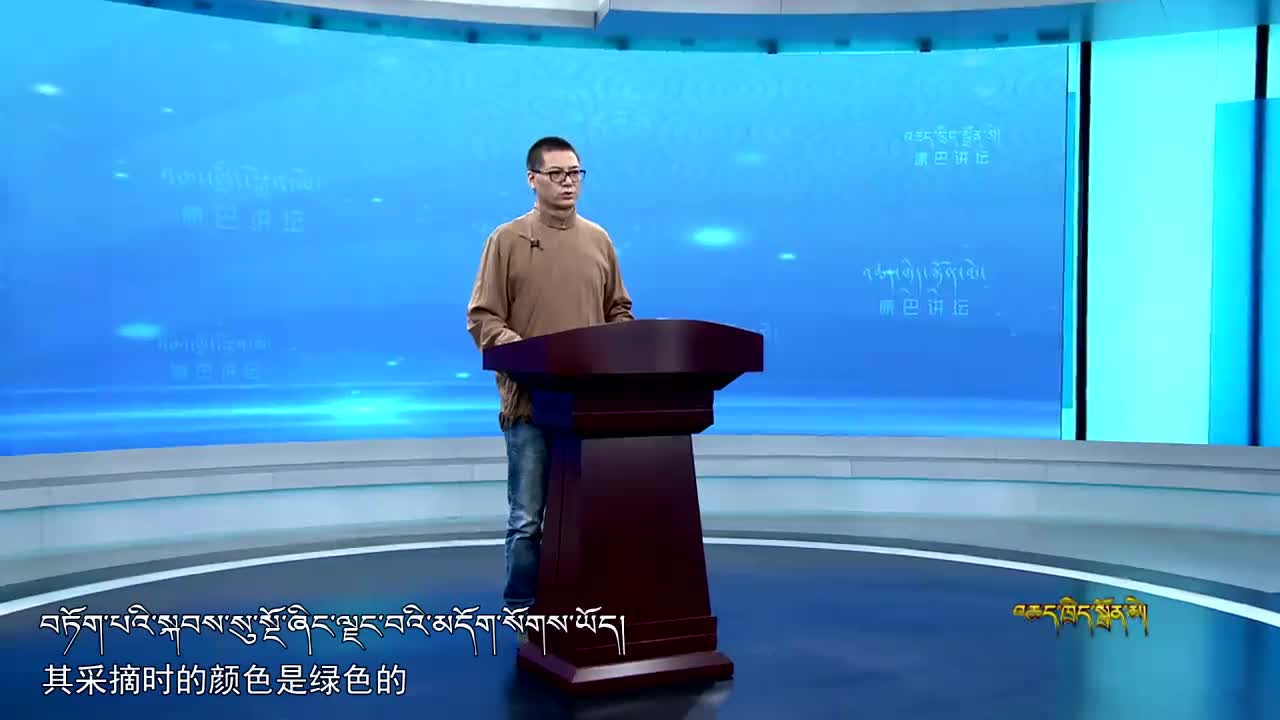 古鎮古道之品茶 上（20.11.03）