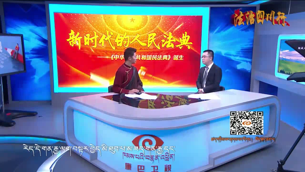 《民法典》合同编—平等交换 公平竞争 下（20.11.26）