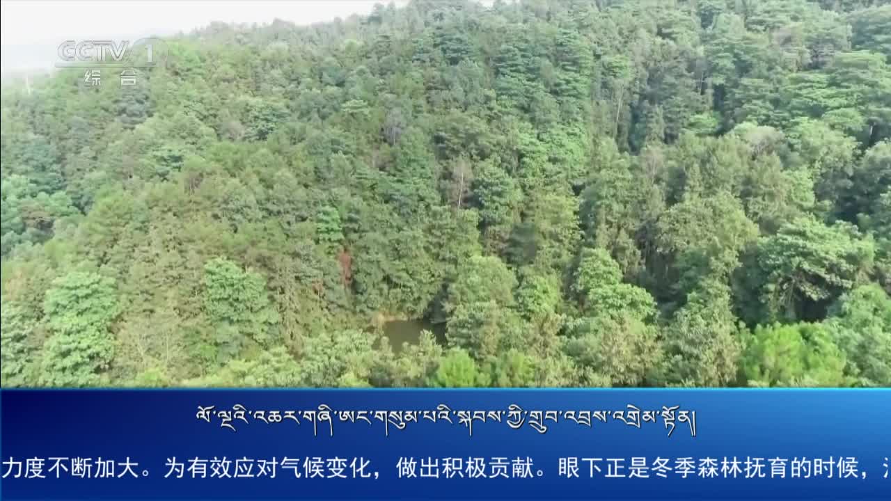 央视新闻联播（20.12.13）