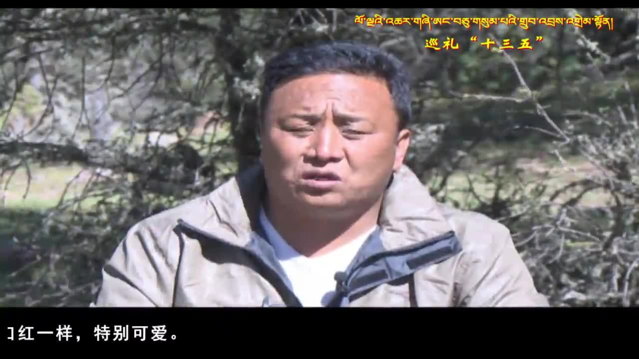 康巴衛(wèi)視新聞（20.12.27）