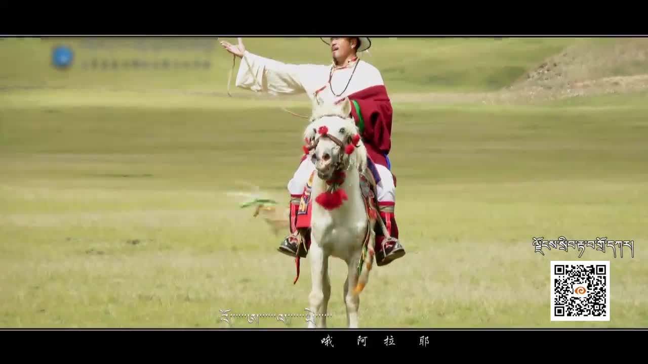 江賽白騎士（20.12.21）