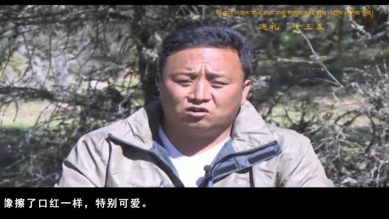 康巴衛(wèi)視新聞（20.12.27）