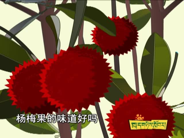 我愛故鄉的楊梅（下）（11.17）
