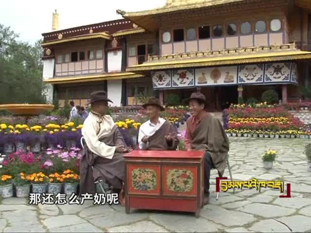 米瑪遇上土登拉（2.21）