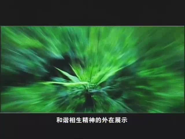 邹太明——梦幻山水