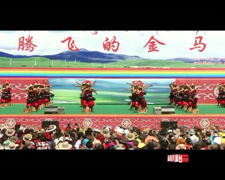 腾飞的金马（5.22）