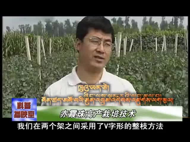 云丹學科技1015