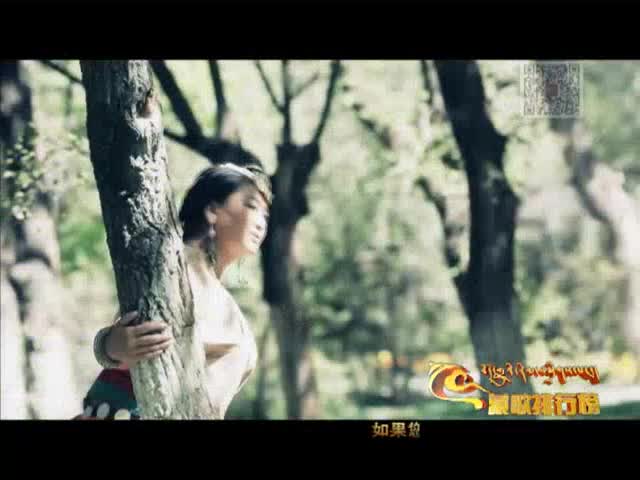 藏歌排行榜（漢語版0214）